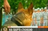 На страже правопорядка 