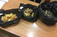 В Одеській області прикордонники вилучили у громадянина Китаю 6 кг бурштину