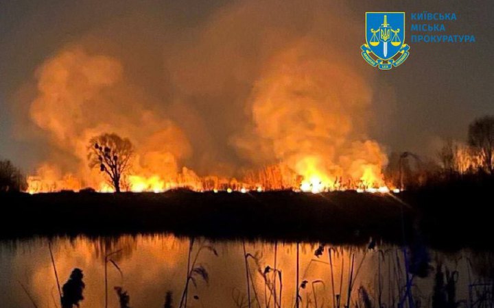 Пожежа в екопарку "Осокорки" знищила 10,4 га рослинності, об'єкт фактично ніким не охоронявся, – Комісія Київради