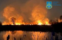 Пожежа в екопарку "Осокорки" знищила 10,4 га рослинності, об'єкт фактично ніким не охоронявся, – Комісія Київради