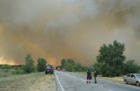 Лесные пожары в Херсонской области вызваны умышленными поджогами, - глава ОГА