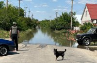 "Багато хто не хоче виїжджати". Що зараз відбувається на Херсонщині, як допомогти і де шукати допомогу