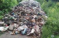 Полиция задержала водителя, который выгрузил 12 тонн мусора из Львова в Черниговской области