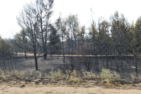 Україна отримала від бойовиків гарантії безпеки для гасіння пожеж на Луганщині, - Резніков