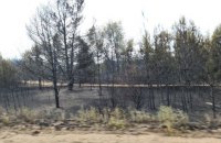 Україна отримала від бойовиків гарантії безпеки для гасіння пожеж на Луганщині, - Резніков