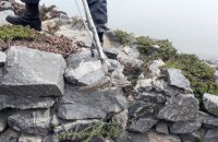 В Днепре на территории ресторана выловили 18 змей