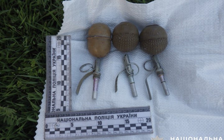 У мешканця Херсонщини вилучили гранати й набої
