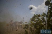 В зоне АТО боевики по ночам обстреливают украинские позиции