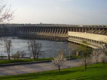В Днепровское водохранилище запустят рыбу