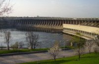 В Днепровское водохранилище запустят рыбу