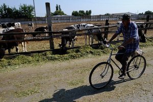 Жан-Жак Эрве: "В Украине не уважают простых людей, которые живут в деревне"