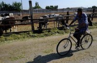 Жан-Жак Эрве: "В Украине не уважают простых людей, которые живут в деревне"