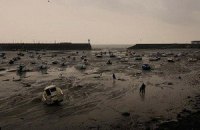 Фотохудожники показали "конец мира" - что будет, если вымрут мегаполисы