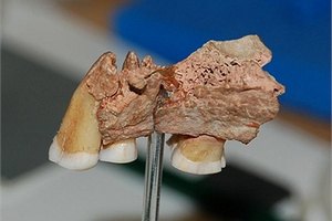 Люди заселили Европу 45 тыс. лет назад, - ученые