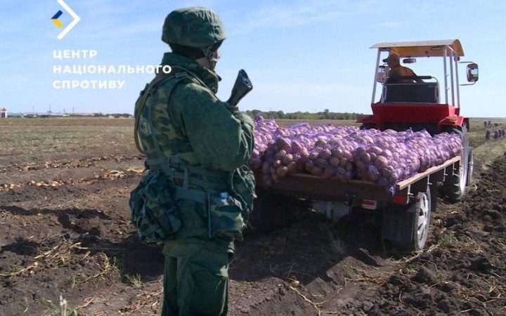 Росіяни почали відбирати у фермерів на ТОТ Херсонщини весь врожай
