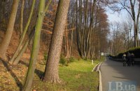 Зберегти київські лісництва