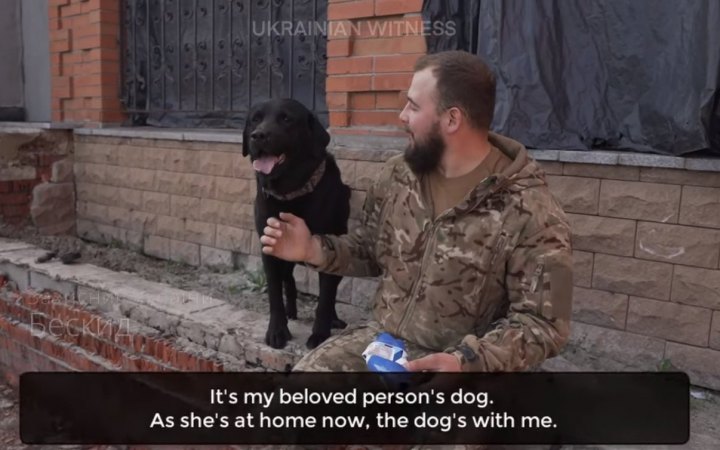 Врятував життя бійцю: "Український свідок" оприлюднив відеоісторію про собаку-захисника з передової