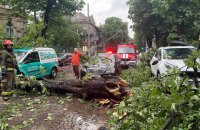 Через бурю у Львові повалені дерева, затоплені вулиці, пошкоджені дахи
