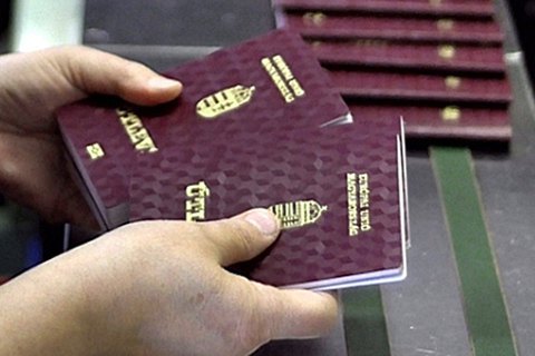 Климкину не удалось договориться с Сиярто по вопросу выдачи венгерских паспортов украинцам