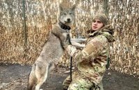 Київрада підтримала рішення назвати сквер у Печерському районі імені Героя України Дмитра Коцюбайла ("Да Вінчі")