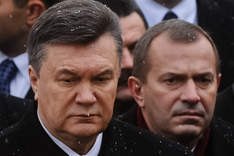 Под солнечные электростанции Клюева и Януковича отдадут 540 га крымской земли 