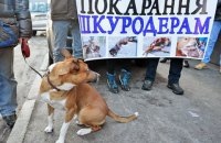 Возле Рады прошел митинг с требованием ужесточить наказание за живодерство