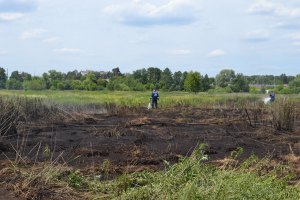 Площадь горящих торфяников под Киевом увеличилась