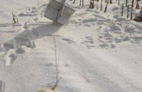 Виявлені над Києвом повітряні кулі з радіолокаційними відбивачами можуть свідити про нову тактику РФ, – МО Британії