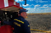 На Житомирщині після атаки Росії згоріло 2 гектари пшениці
