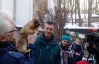 Львівський бабак Маруся передбачила ранню весну