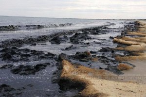 В Одесской области около километра береговой линии загрязнены нечистотами