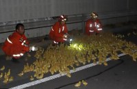 В Китае во время ДТП на дорогу выпали 10 тысяч утят