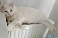 КМДА: близько 15% закладів соціальної сфери Києва вже підключили до тепла