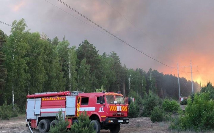 У Вишгородському районі на Київщині локалізовано пожежу в природній екосистемі