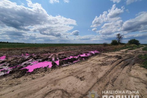 Поліція відкрила кримінальне провадження через рожеві калюжі біля Рівного