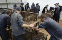 Колонію на Вінничині перепрофілюють на табір для російських військовополонених