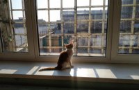 ​Малюська не понимает, почему в СИЗО запрещены игровые приставки