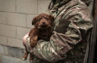 Епіцентр та UAnimals допоможуть тваринам військових на передовій