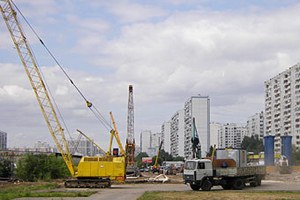 На юге Москвы газон засеяли коноплей