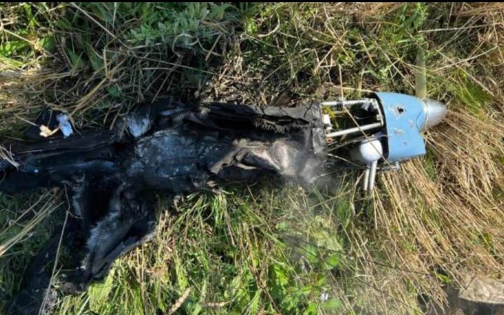​Українські зенітники "приземлили" ворожий безпілотник, імовірно, "Птеро", який здійснював дорозвідку