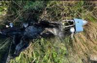 ​Українські зенітники "приземлили" ворожий безпілотник, імовірно, "Птеро", який здійснював дорозвідку