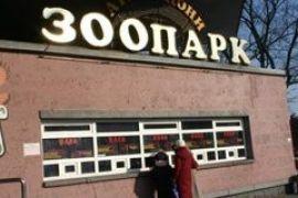 Чиновники КГГА отказались от опеки над животными