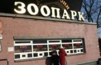 Чиновники КГГА отказались от опеки над животными