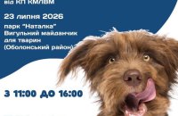 У київському парку «Наталка» в четвер пройде День адопції собак