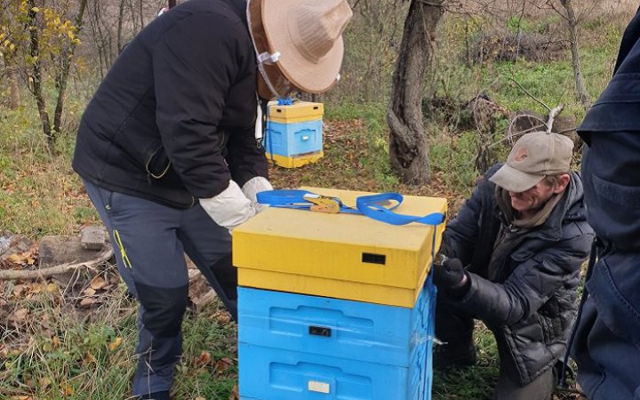UAnimals евакуювали бджіл, які пережили окупацію під Ізюмом