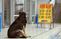 ​Минувший июль в Киеве стал самым холодным с начала века