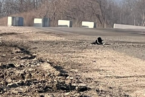 В Запорожской области россияне обстреляли колонну с беженцами, ранены пять человек (обновлено)