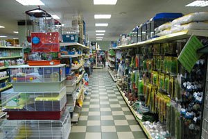 В Ковеле из зоомагазина похитили 32 попугая и фильтры для аквариумов