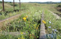 Львівська залізниця витратила мільйон гривень на непрацюючу ділянку Боржавської вузькоколійки