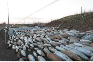 На Луганщине планируют утилизировать боеприпасы на 29 млн грн